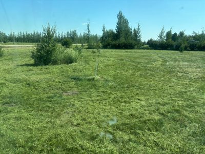 Mowing complete